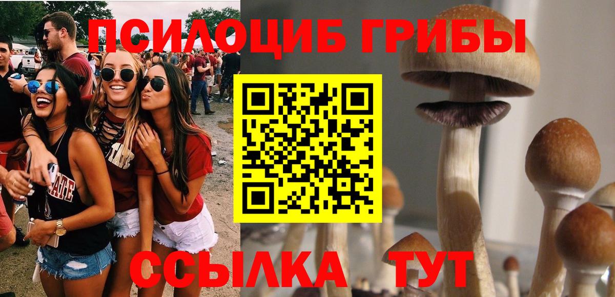 Псилоцибиновые грибы Magic Shrooms Богородск